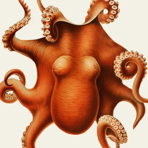 Biologi