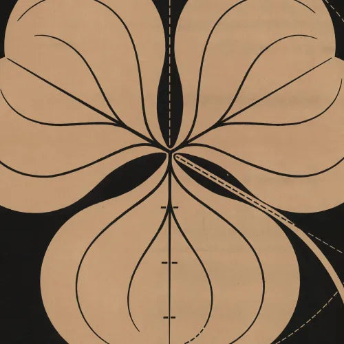 Ferdinand Moser