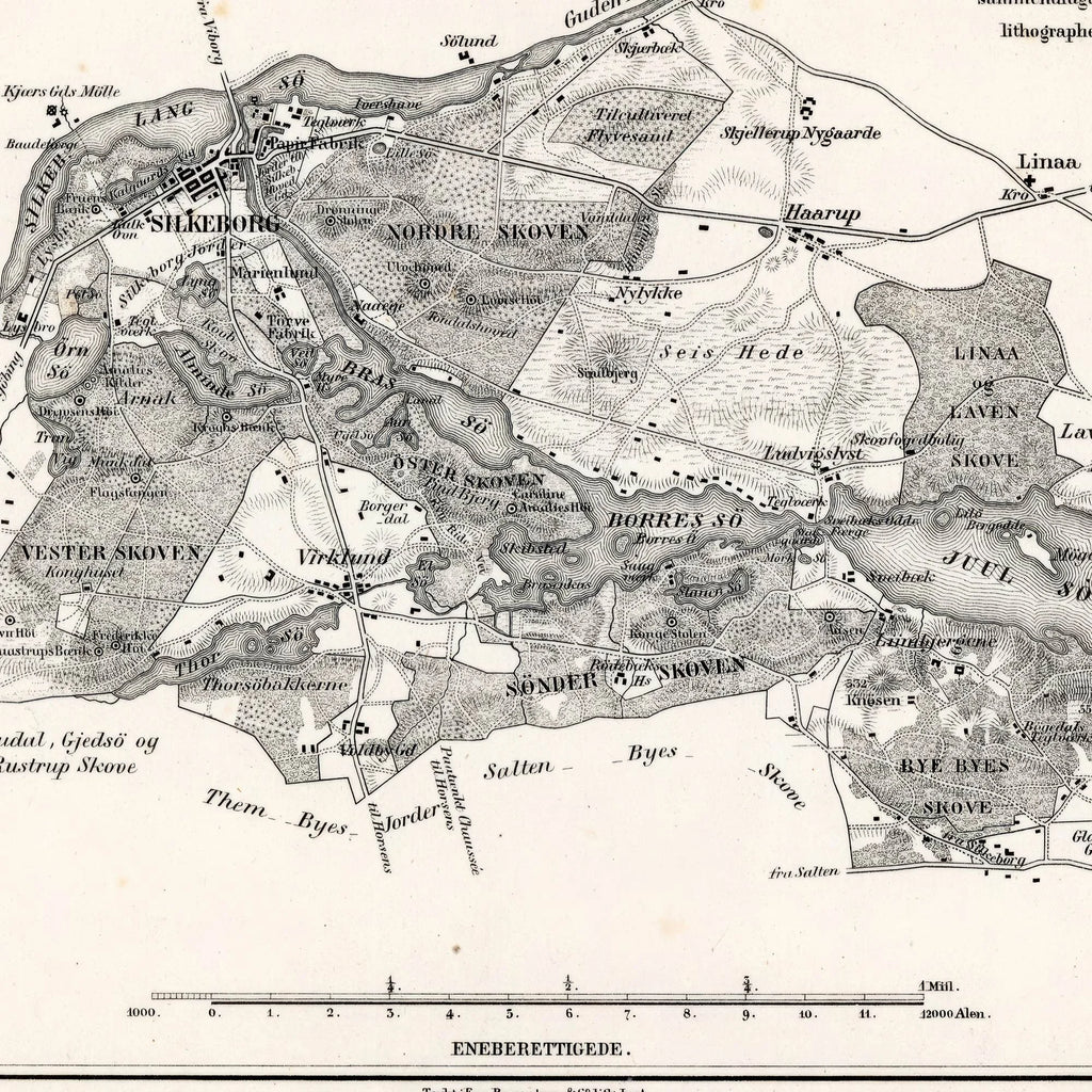 Silkeborg & Omegn 1860 - Klassisk topografisk bykort – billede 4