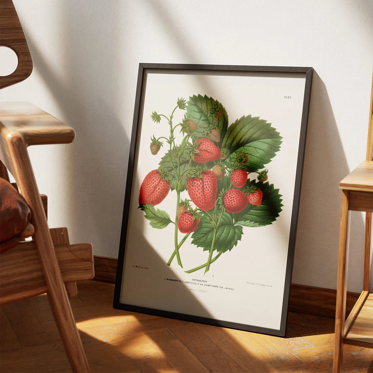 Jordbær 1879 - Botanisk Illustration - Plakat – billede 3