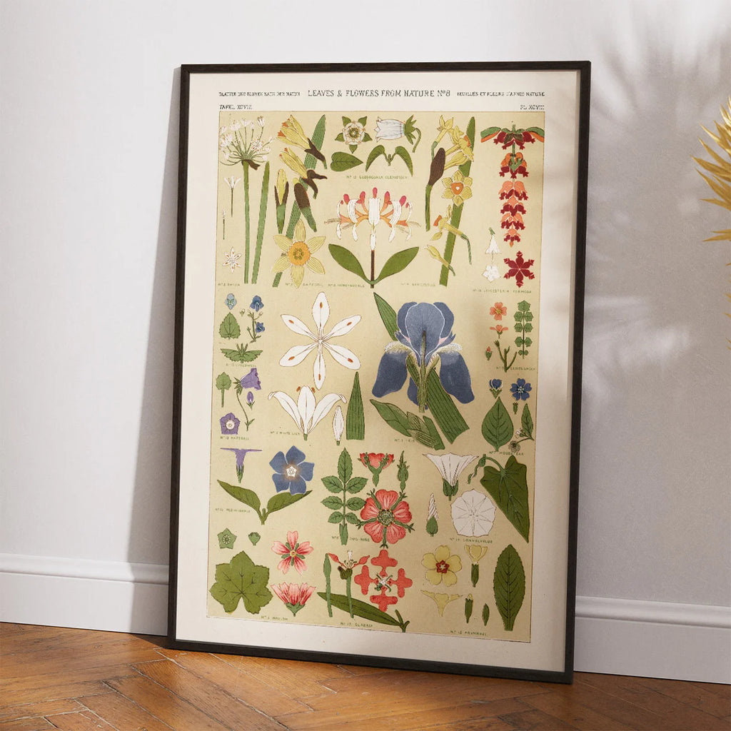 Blomsteroversigt 1856 - Plakat – billede 2