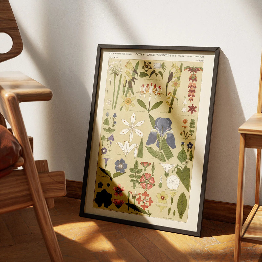 Blomsteroversigt 1856 - Plakat – billede 3