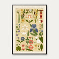 Blomsteroversigt 1856 - Plakat – billede 1