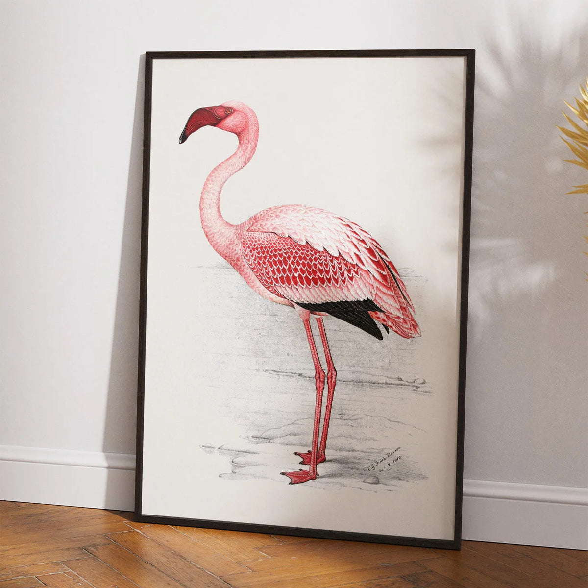 Flamingo Illustration 1919 - Plakat – billede 2