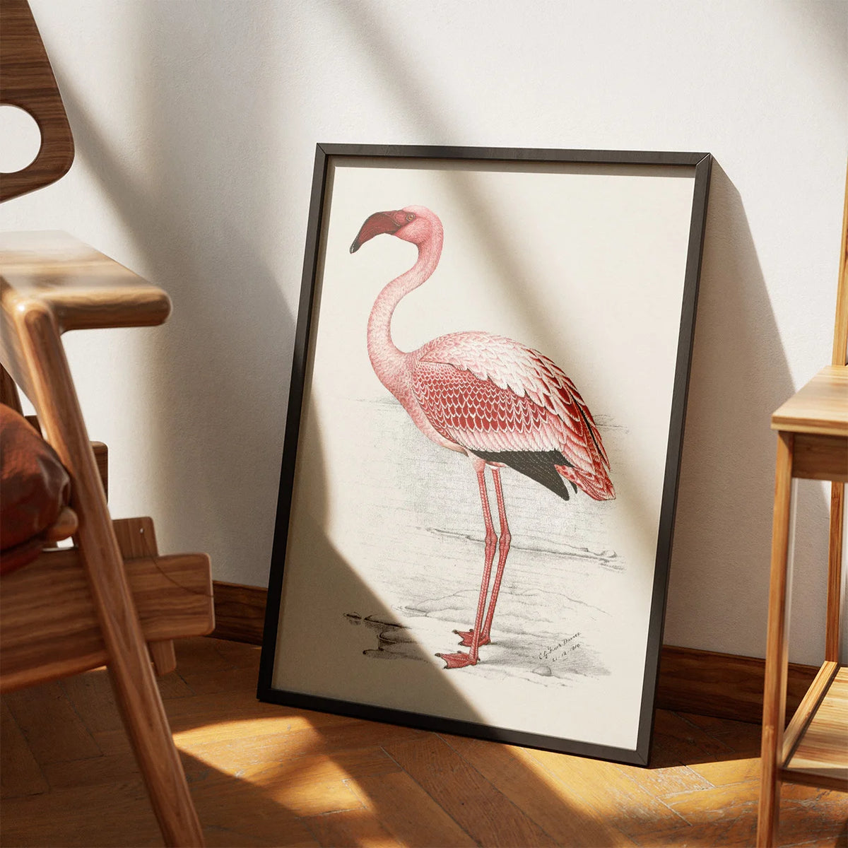 Flamingo Illustration 1919 - Plakat – billede 3