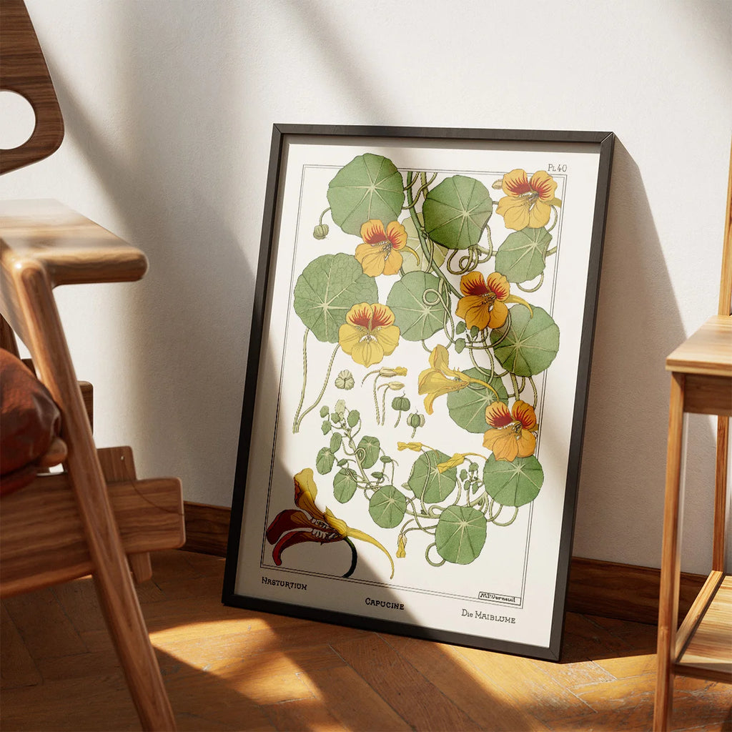 Tallerkensmækker 1896 - Botanisk plakat – billede 3