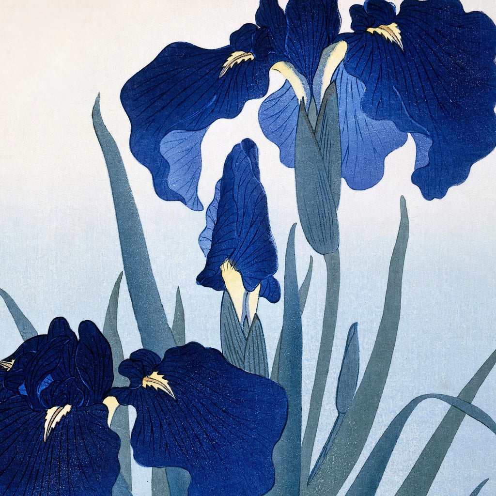 Irisblomster 1931 - Plakat – billede 4