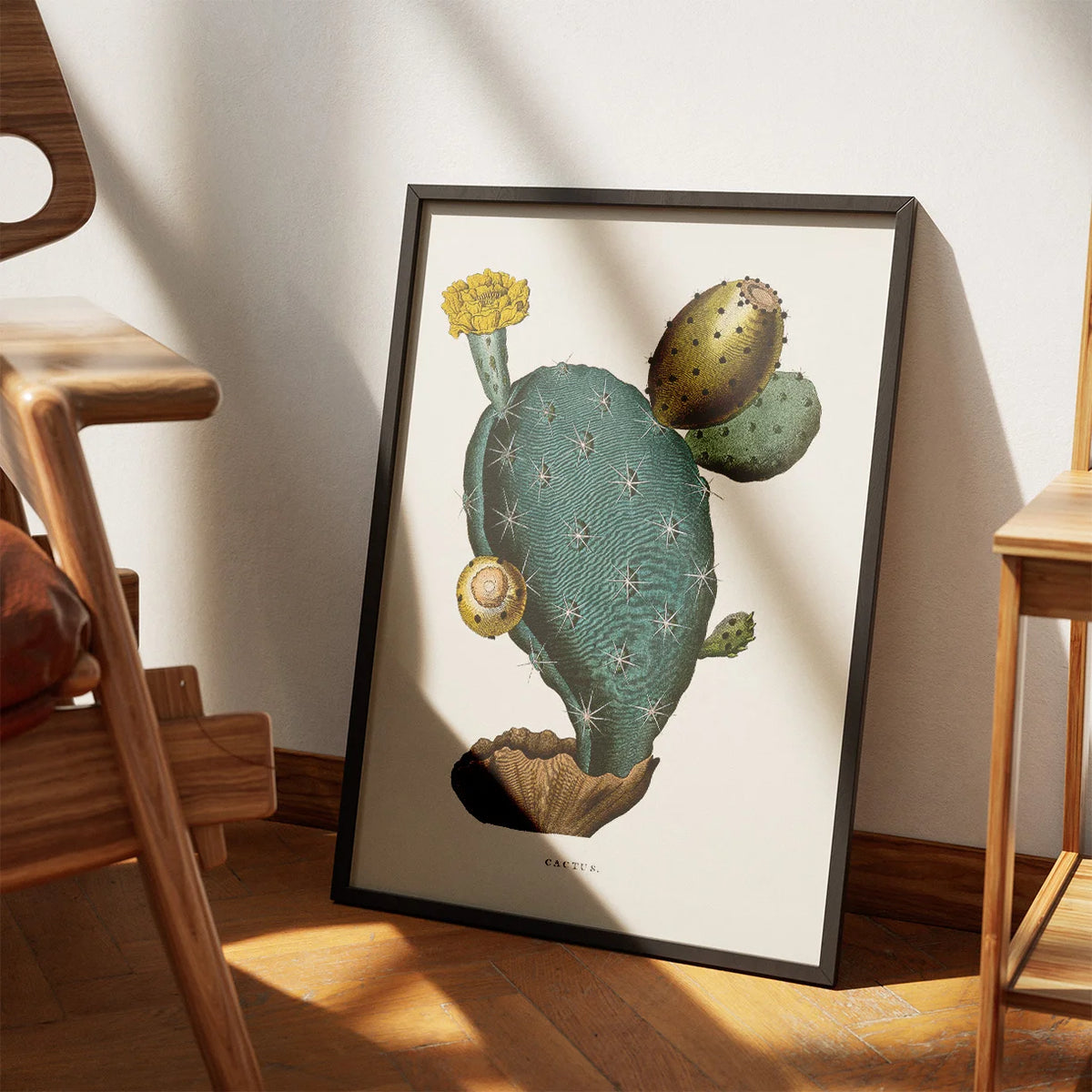Pærekaktus 1800-tallet - Plakat – billede 3