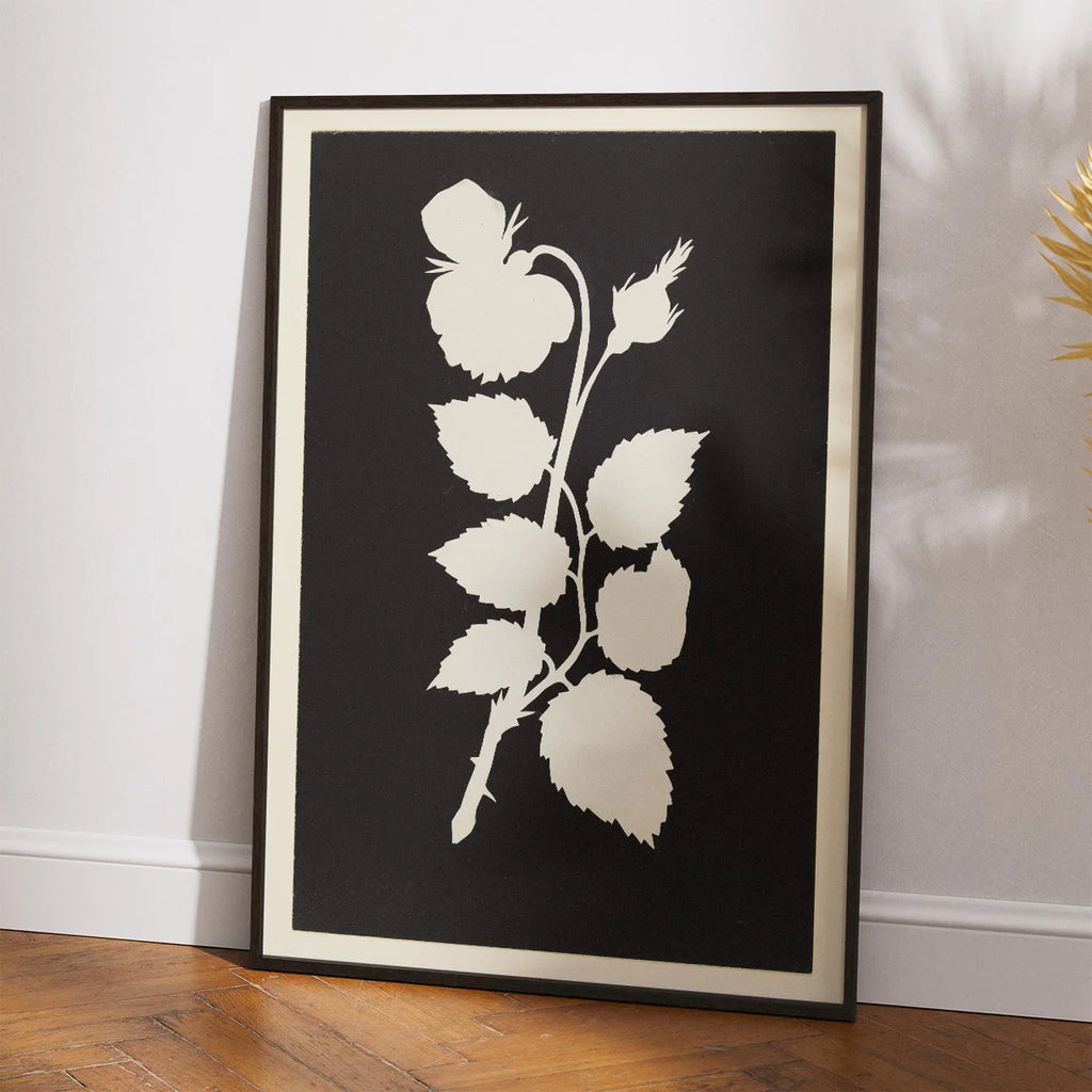 Rosens Blomst 1802 - Botanisk tryk – billede 2