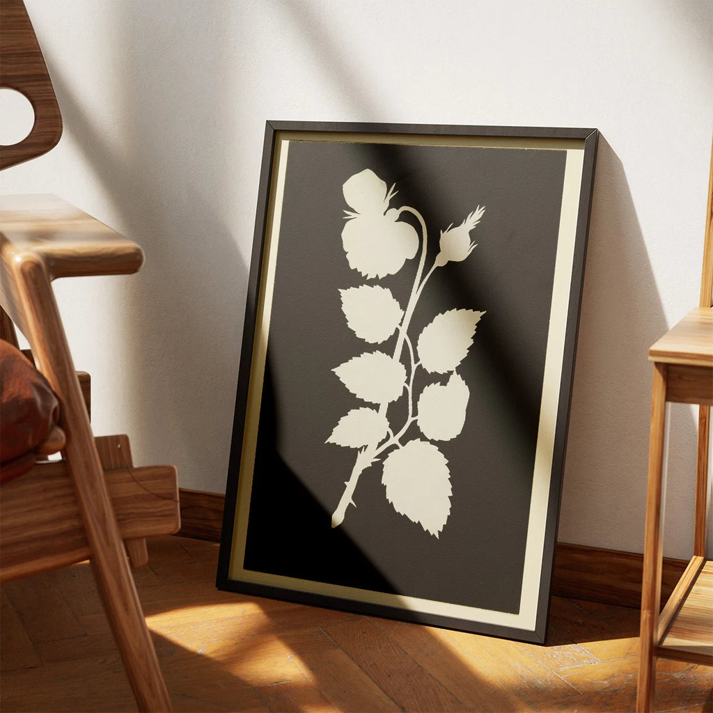 Rosens Blomst 1802 - Botanisk tryk – billede 3