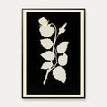 Rosens Blomst 1802 - Botanisk tryk – billede 1