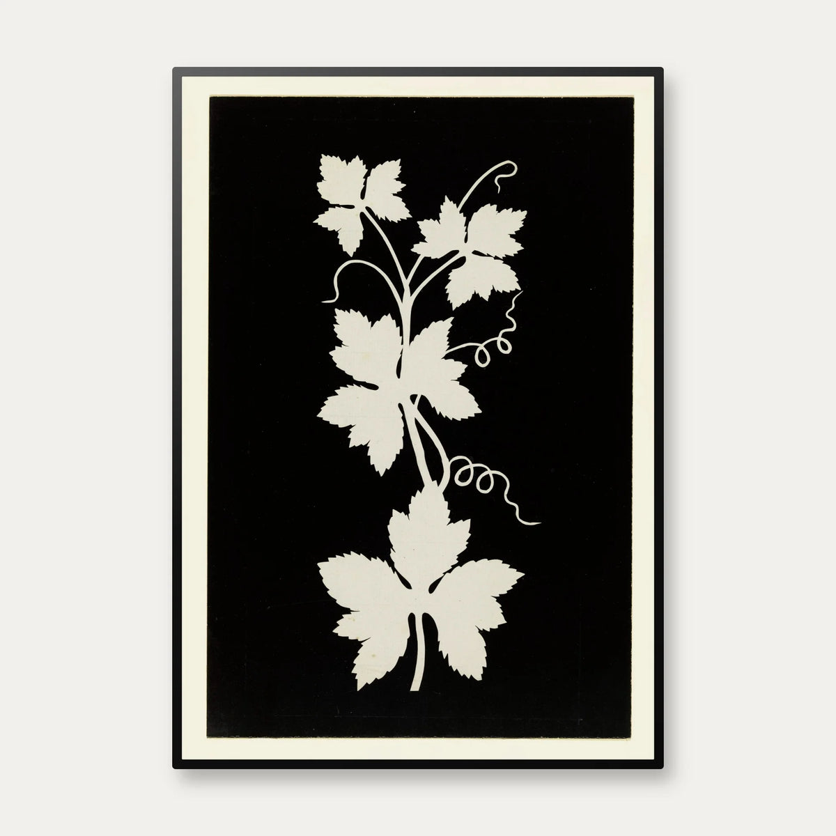 Vinblade 1802 - Botanisk plakat – billede 1