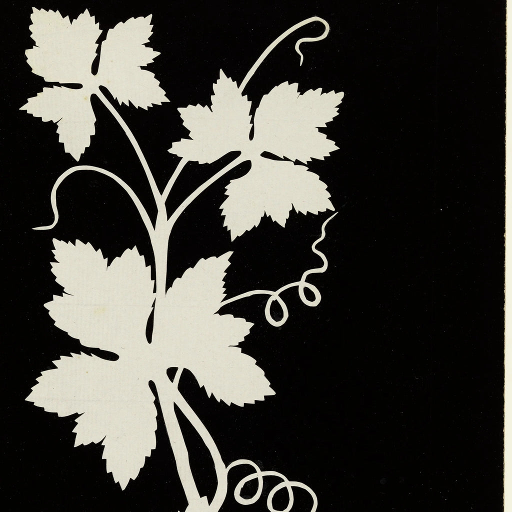 Vinblade 1802 - Botanisk plakat – billede 4
