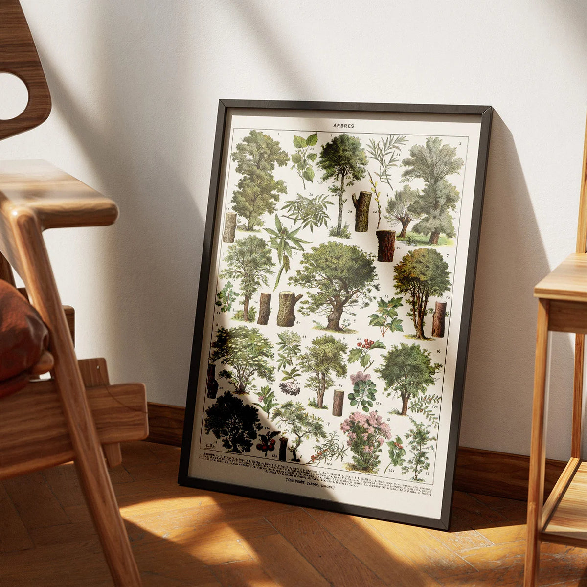Træer i Farve 1932 - Botanisk plakat – billede 3