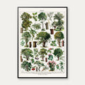 Træer i Farve 1932 - Botanisk plakat – billede 1