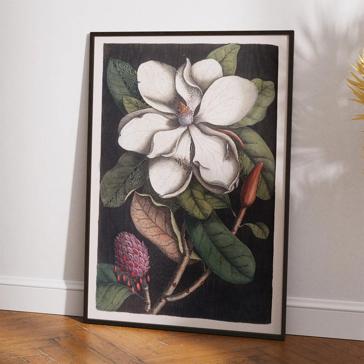 Karibisk Blomst, Bahamas 1743 - Plakat – billede 2