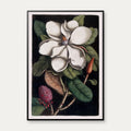 Karibisk Blomst, Bahamas 1743 - Plakat – billede 1