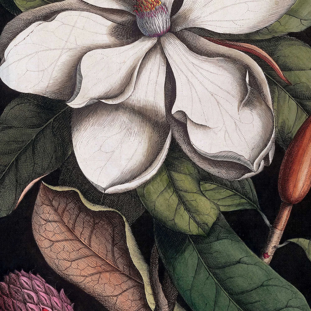 Karibisk Blomst, Bahamas 1743 - Plakat – billede 4