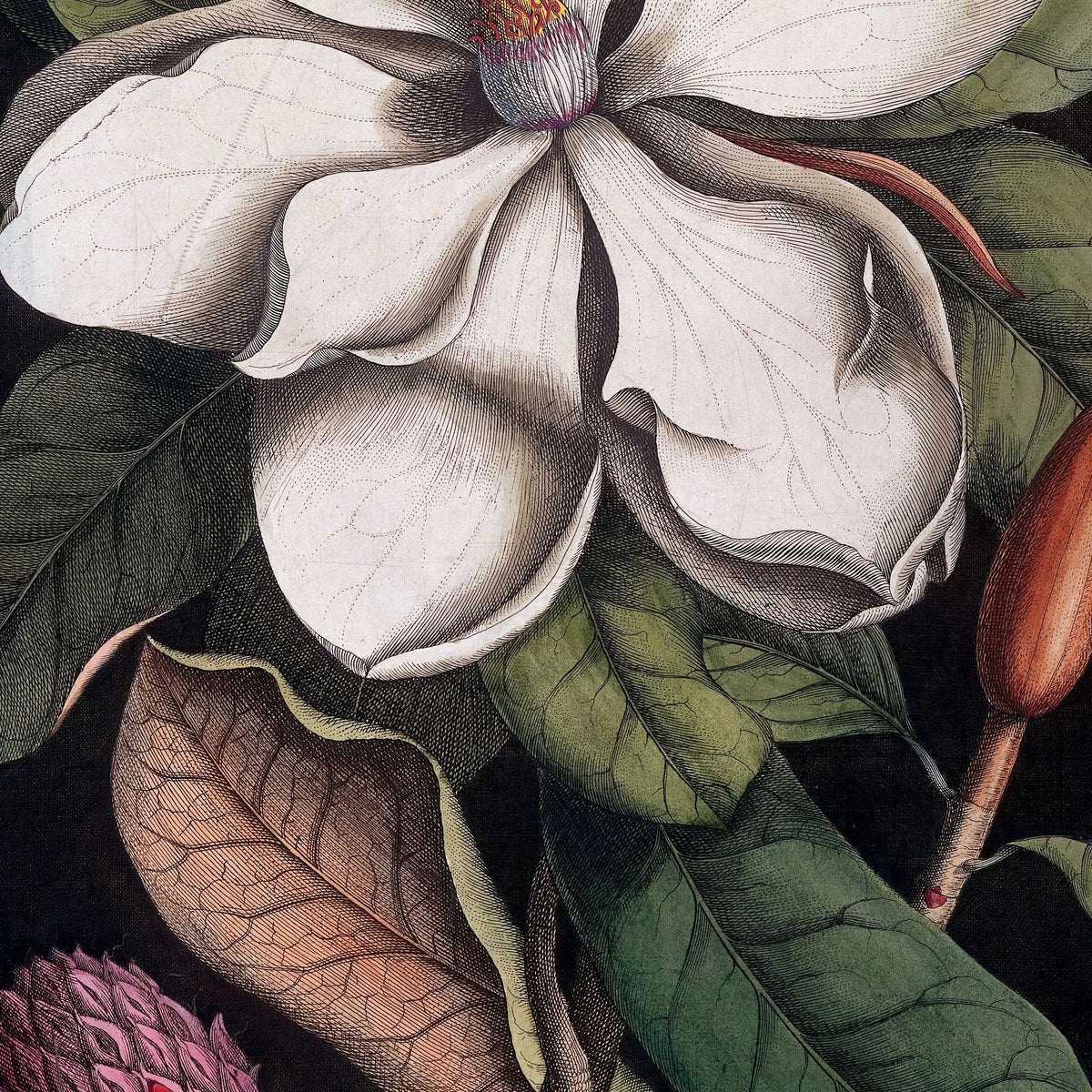 Karibisk Blomst, Bahamas 1743 - Plakat – billede 4