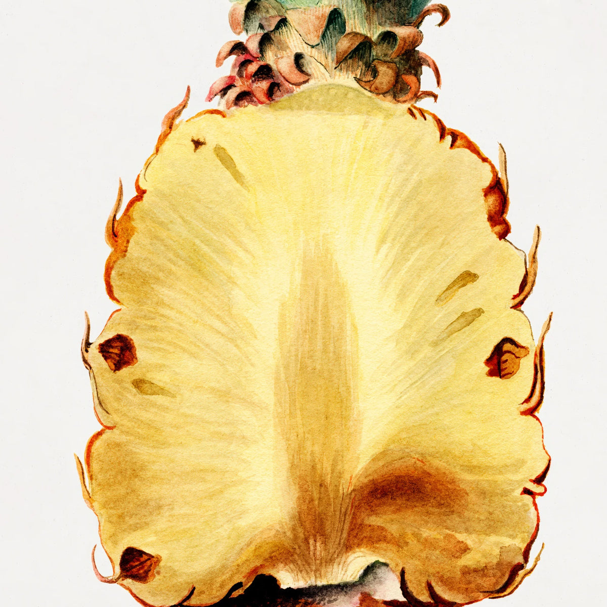 Ananas i To 1919 - Plakat – billede 4