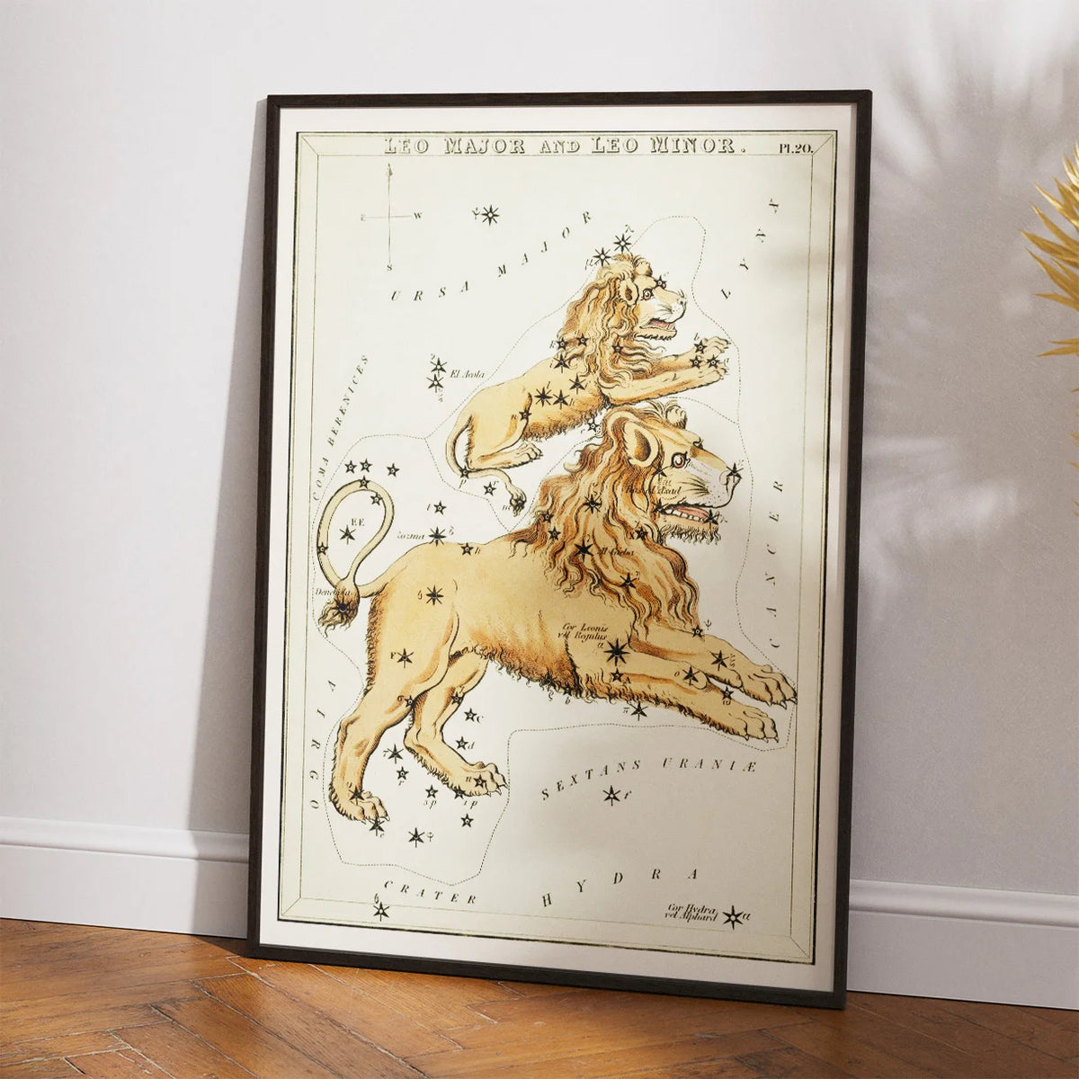 Stjernetegnet Løven 1831 - Plakat – billede 2