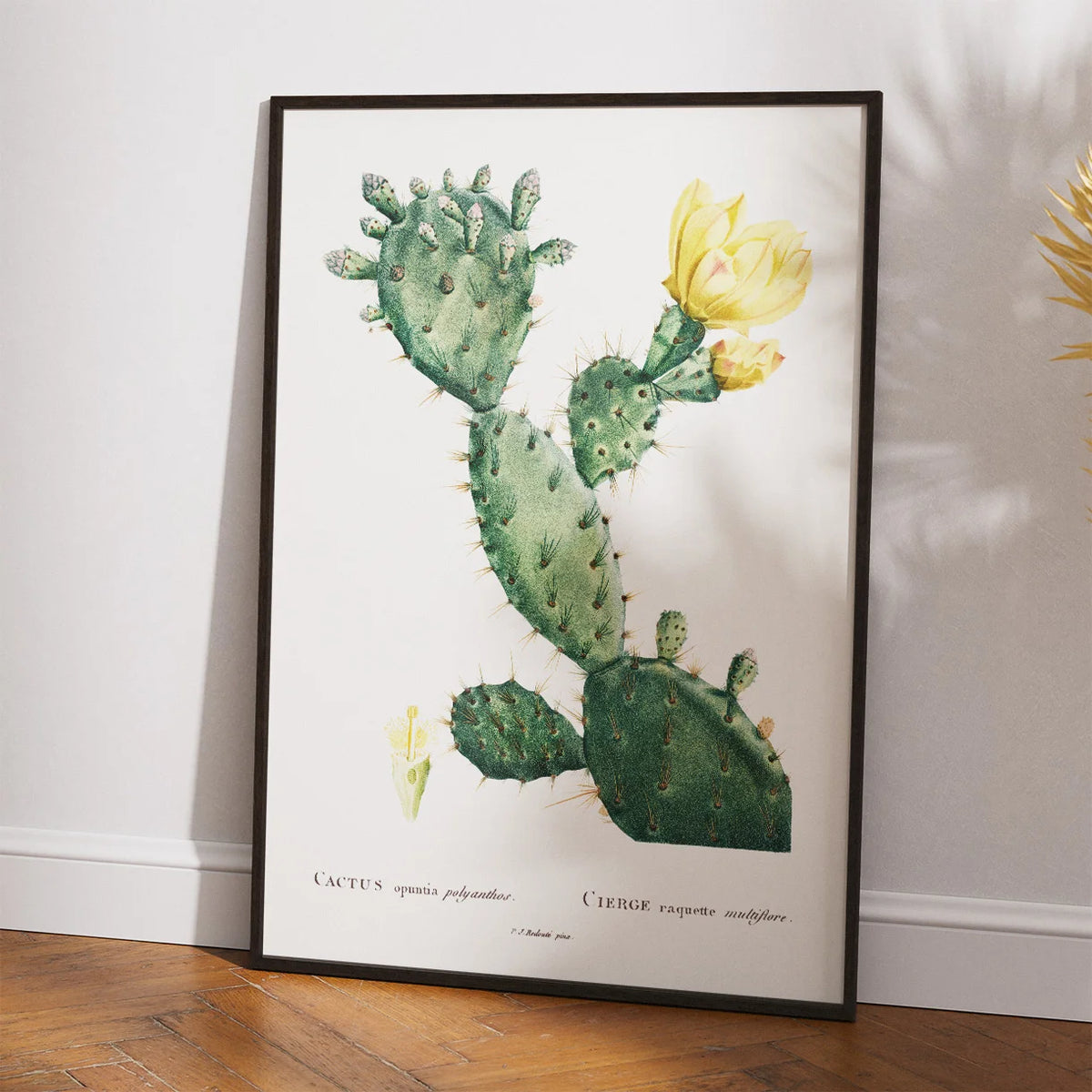 Figenkaktus 1799 - Plakat – billede 2