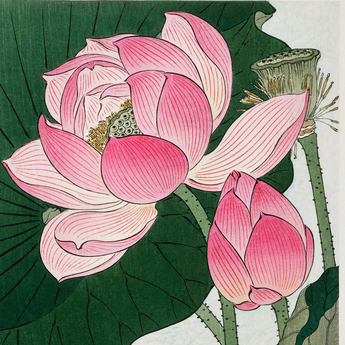 Lotusblomst 1925 - Japansk Kunsttryk – billede 4