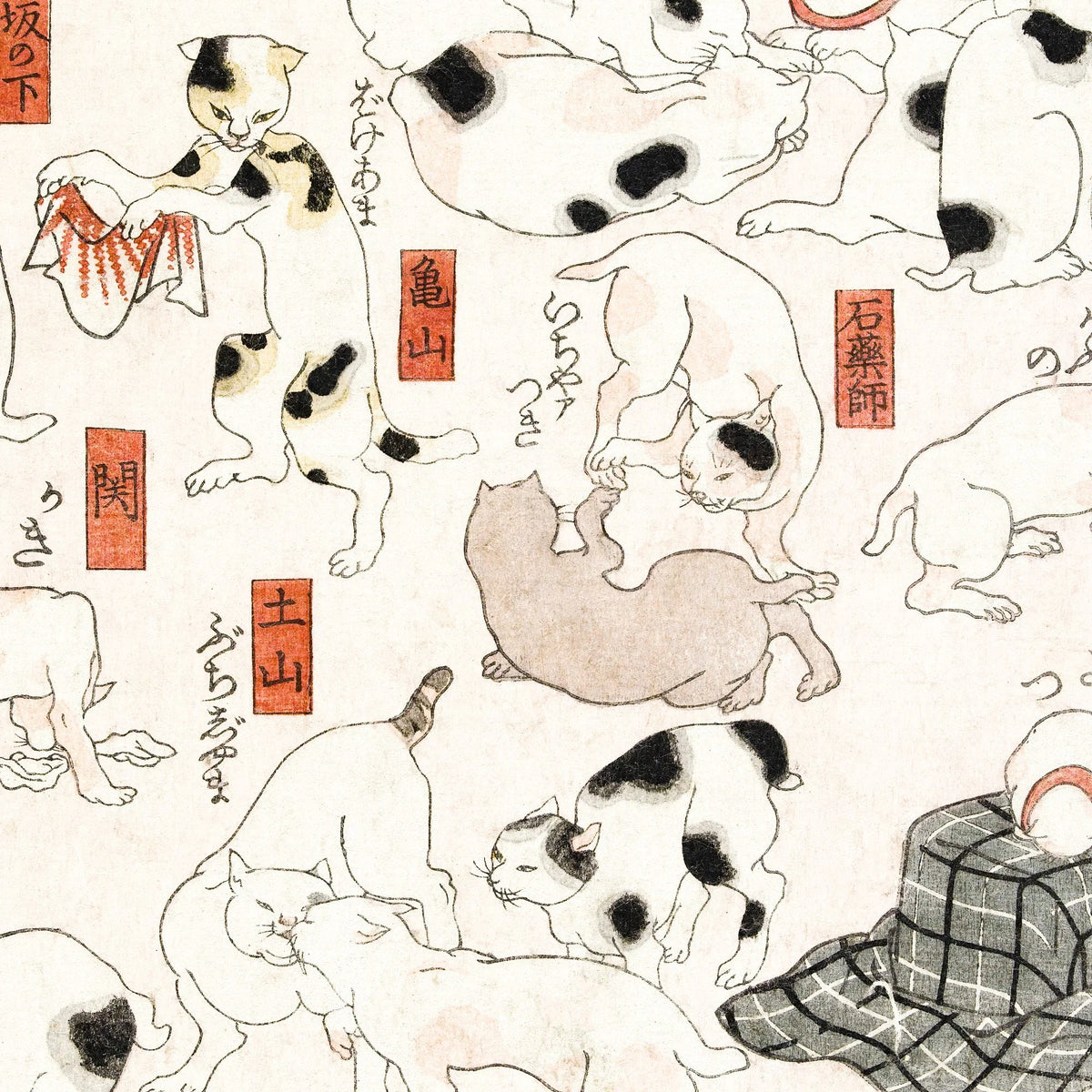 Katte 1850 - Japansk plakat – billede 4