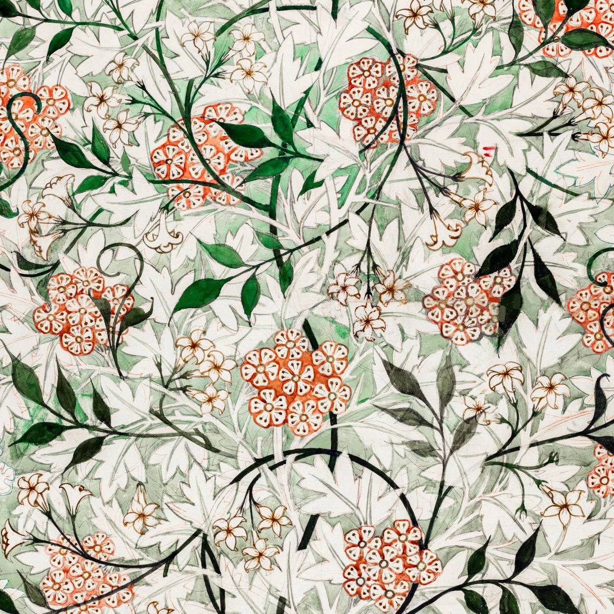 Jasmine 1872 - Blomsterkunst & plakat – billede 4