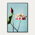 Lotusblomster 1897 - Japansk Botanik – billede 1