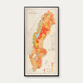 Sveriges Bjerggrund 1901 - Geologisk Kort - 40×80 cm – billede 1