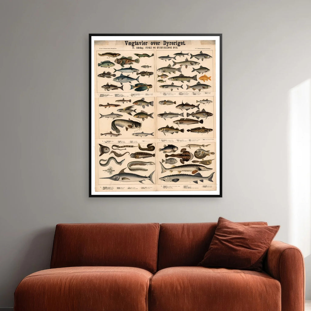 Fisk & Hvirveldyr 1879 - Zoologi - 57×70 cm – billede 2