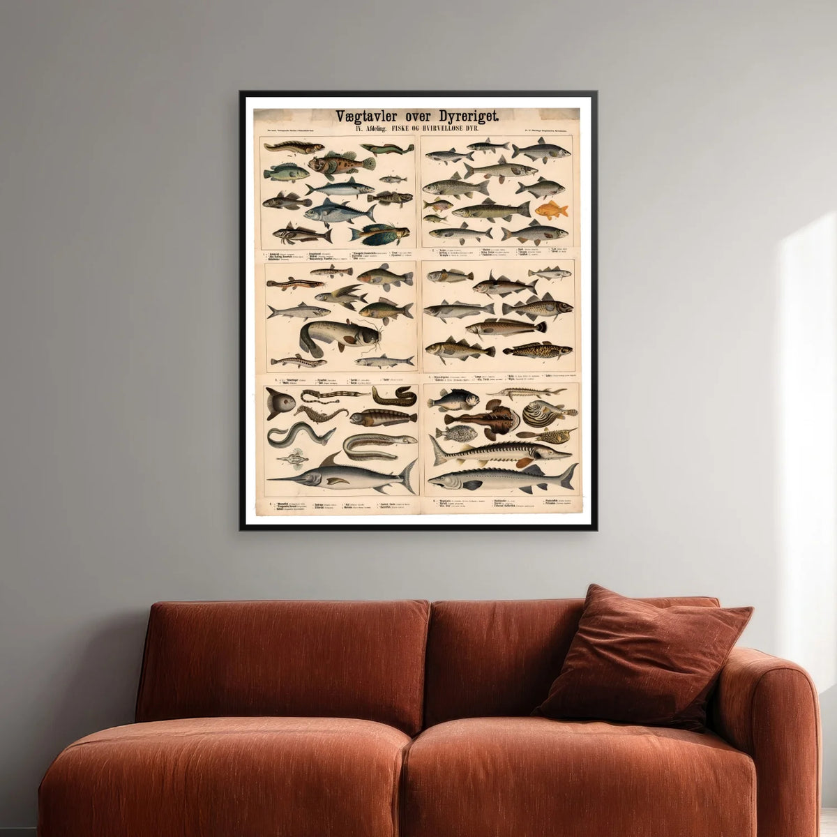 Fisk & Hvirveldyr 1879 - Zoologi - 57×70 cm – billede 2