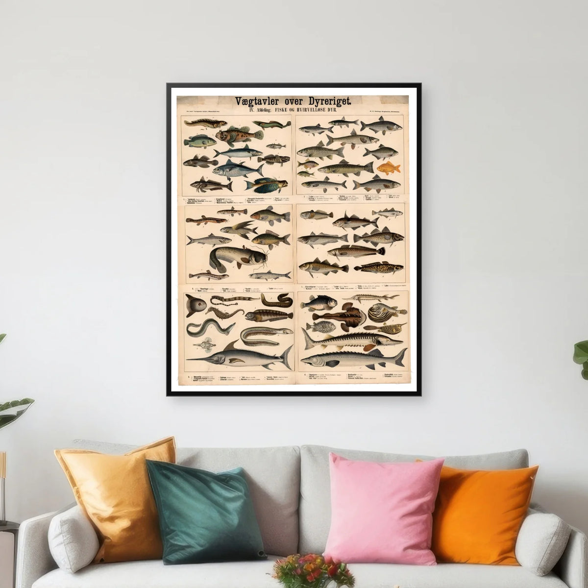 Fisk & Hvirveldyr 1879 - Zoologi - 57×70 cm – billede 3