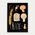 Meldrøje 1920 - Jung-Koch-Quentell - Plakat – billede 1