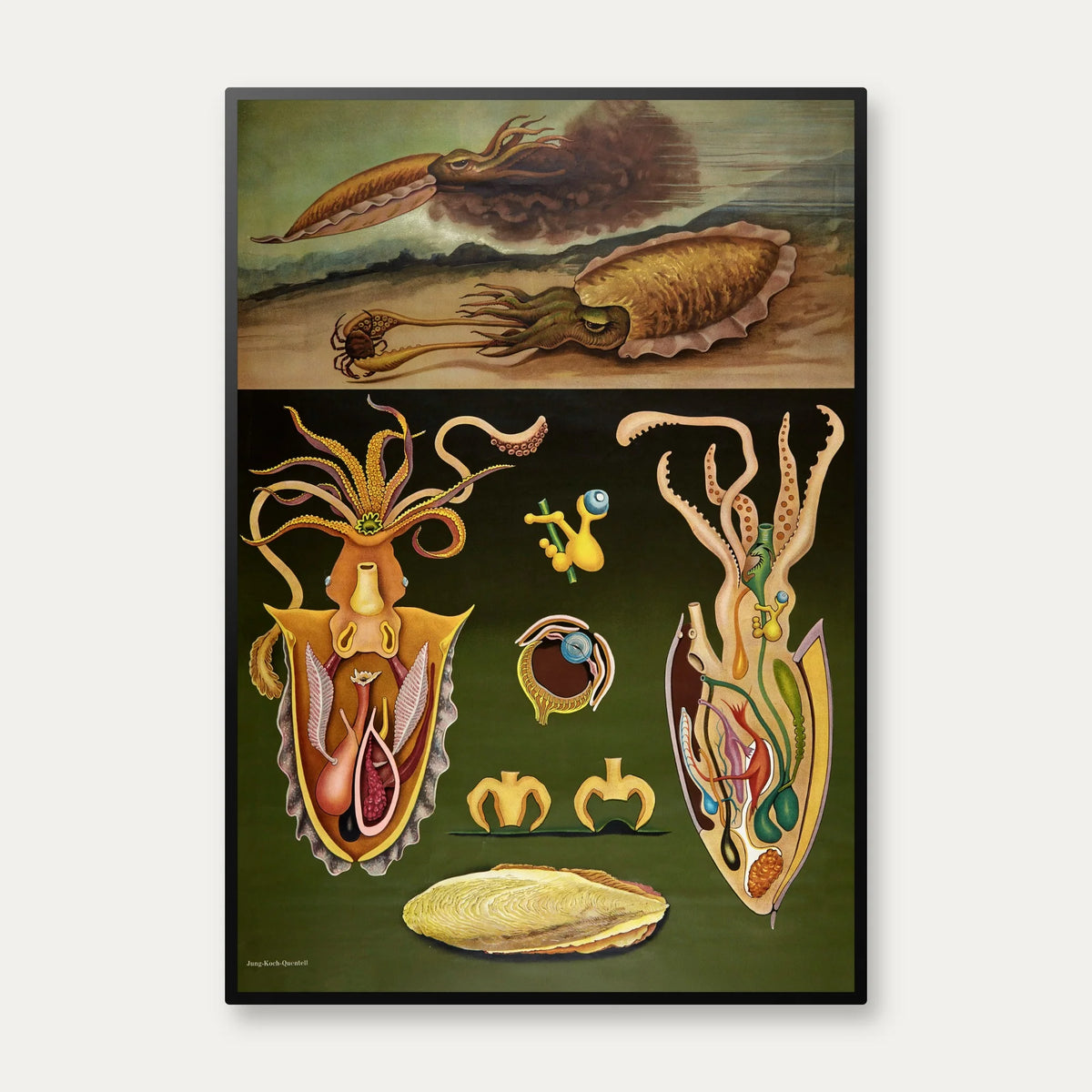 Blæksprutte 1920 - Jung-Koch-Quentell - Plakat – billede 1