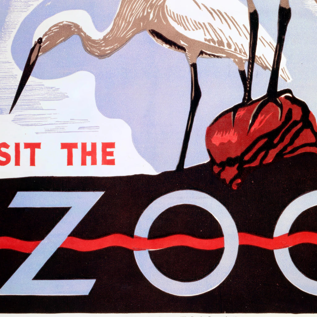 Visit the Zoo 1937 - Fiskehejre Plakat - 50×64 cm – billede 4