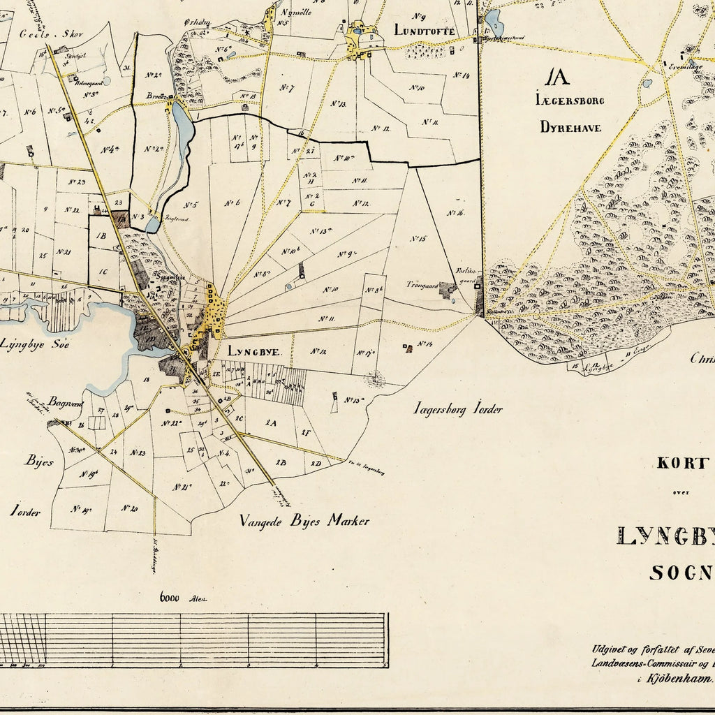 Lyngby Sogn 1850 - Matrikelkort – billede 4