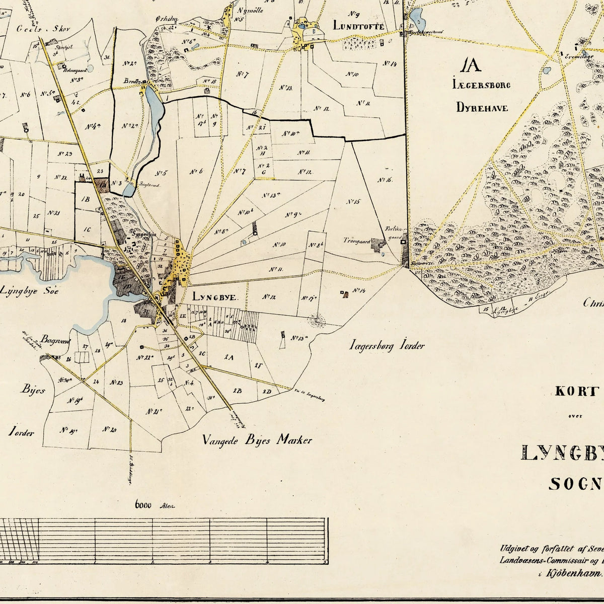Lyngby Sogn 1850 - Matrikelkort – billede 4