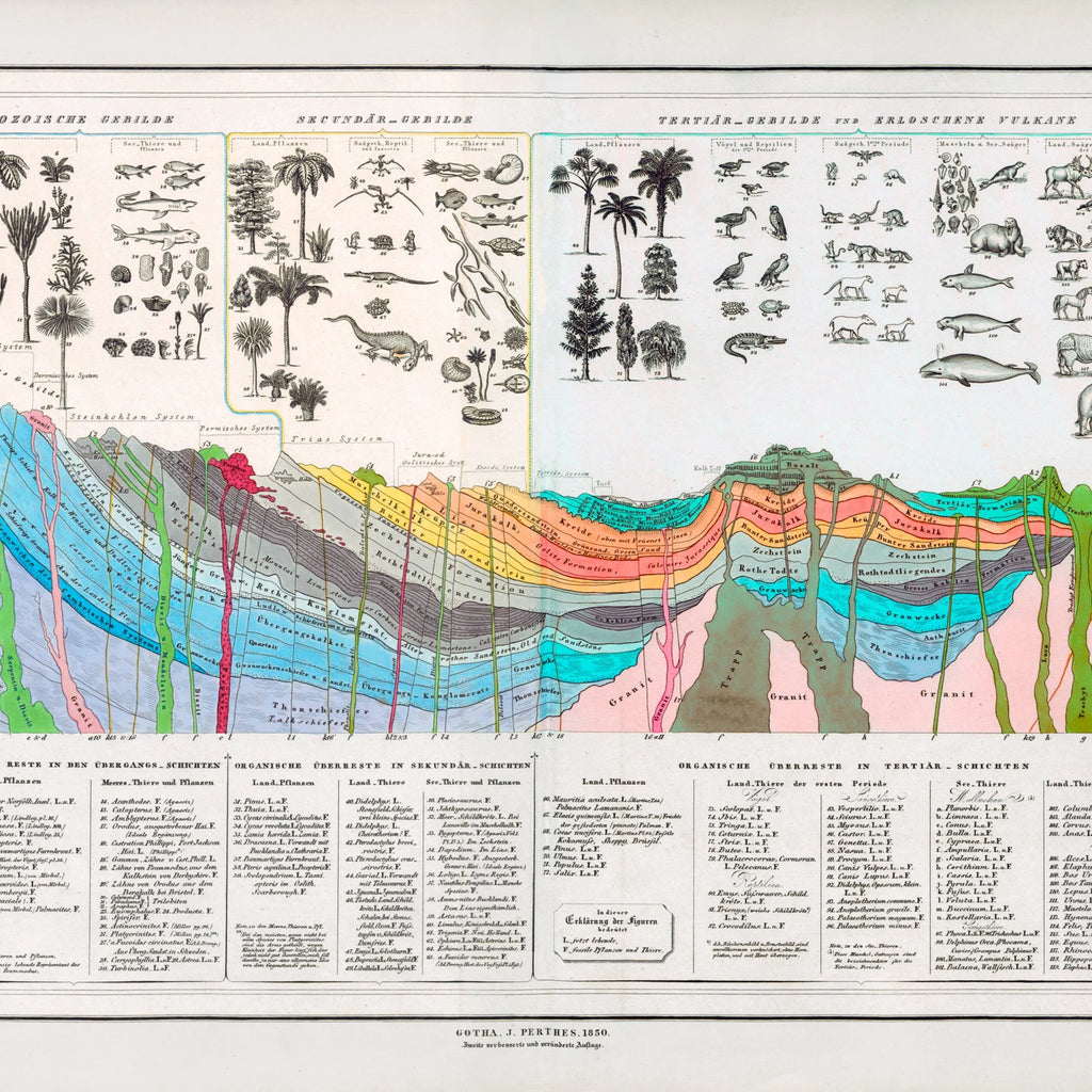 Jordskorpen 1932 - Geologisk plakat - 95×40 cm – billede 4