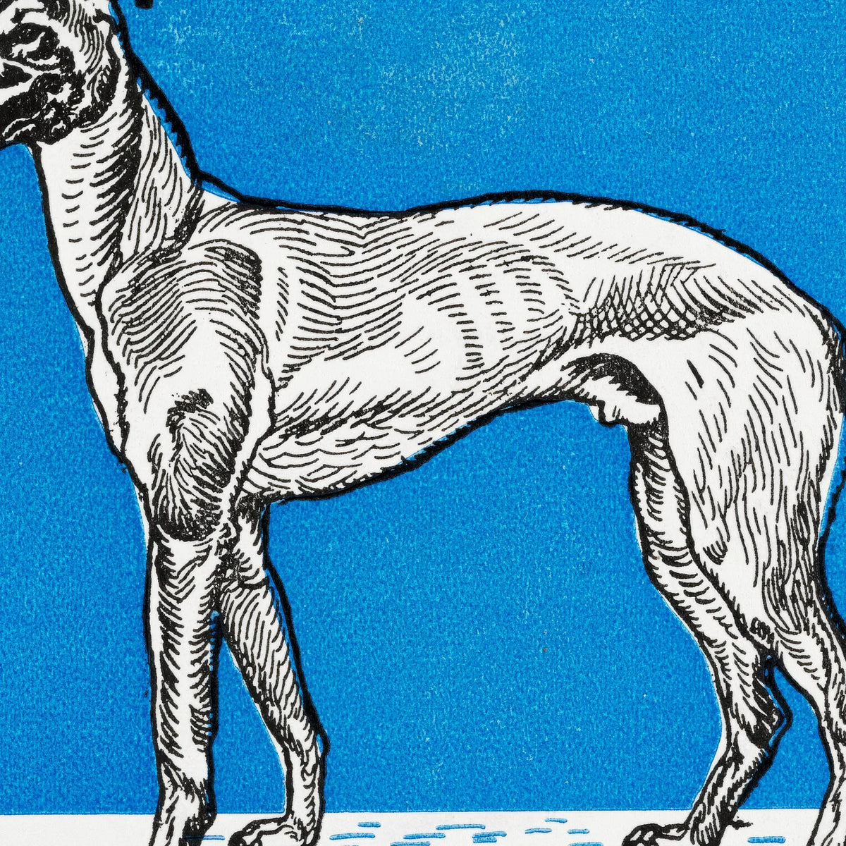 Greyhound 1912 - Kunstplakat – billede 4