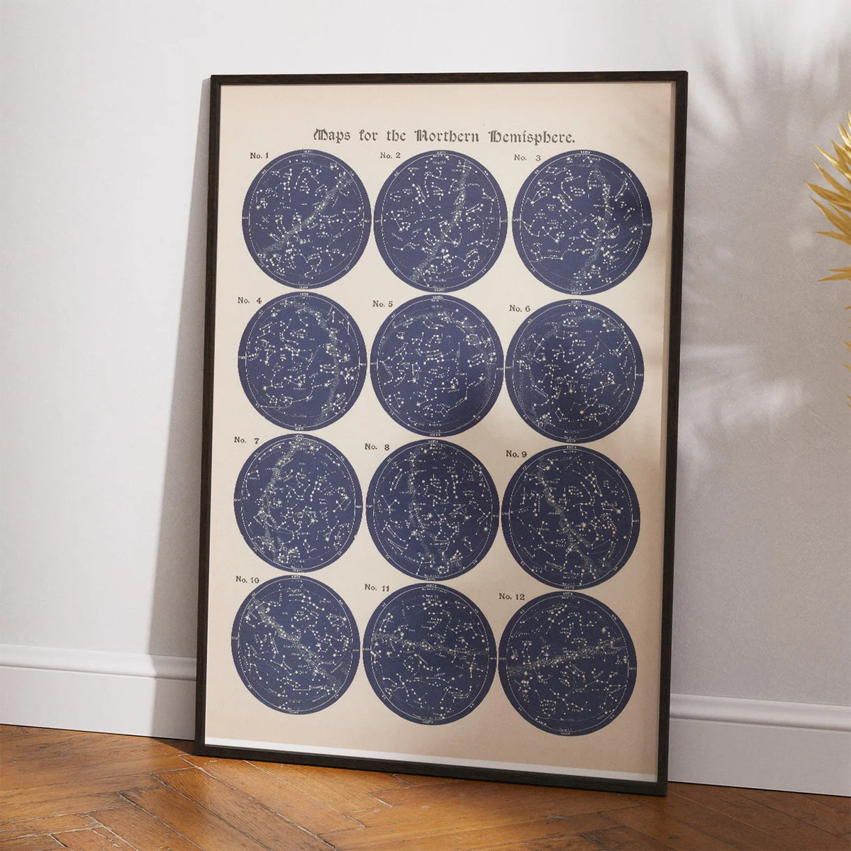 Stjernekort 1884 - Astronomi - Plakat – billede 2