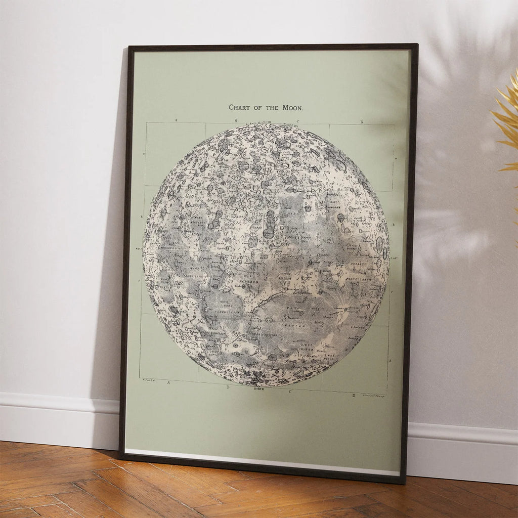 Atlas over himlen 1884 - Stjernekort – billede 2