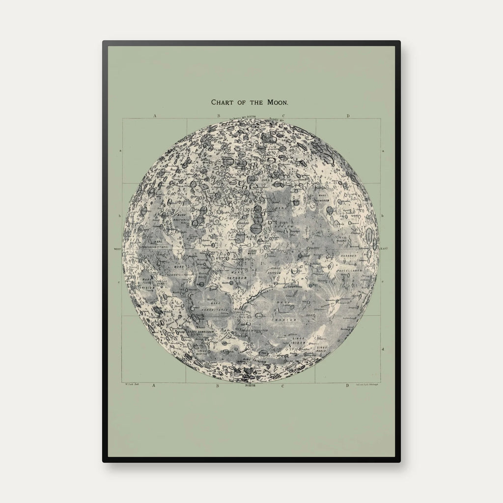 Atlas over himlen 1884 - Stjernekort – billede 1