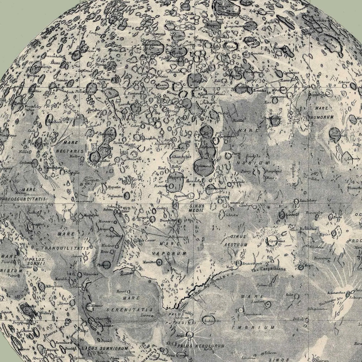 Atlas over himlen 1884 - Stjernekort – billede 4