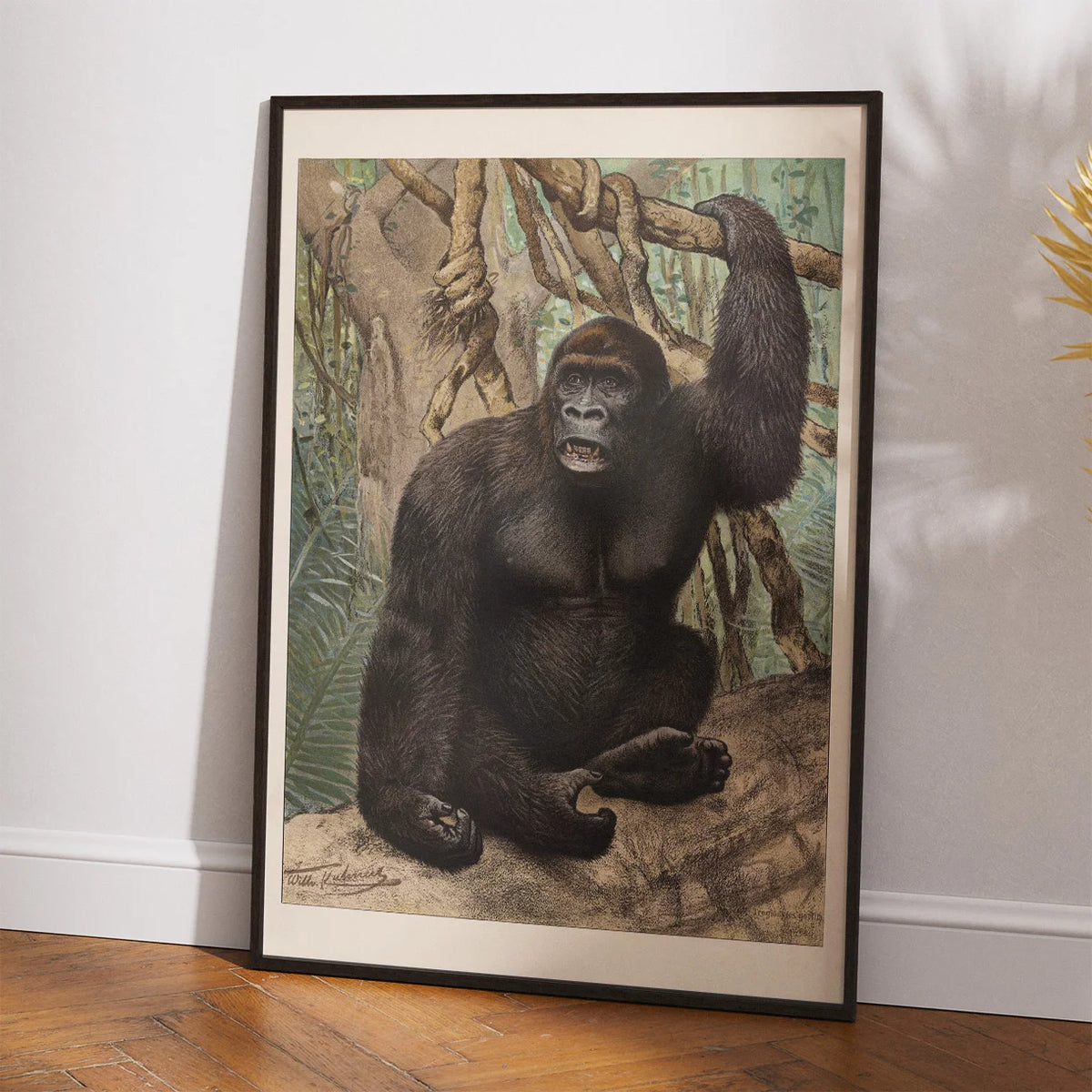 Gorilla 1890 - Anskuelsesbillede – billede 2