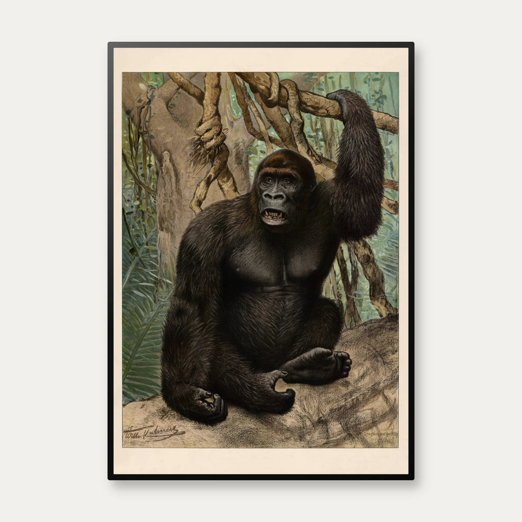 Gorilla 1890 - Anskuelsesbillede – billede 1
