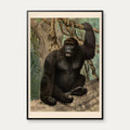 Gorilla 1890 - Anskuelsesbillede – billede 1