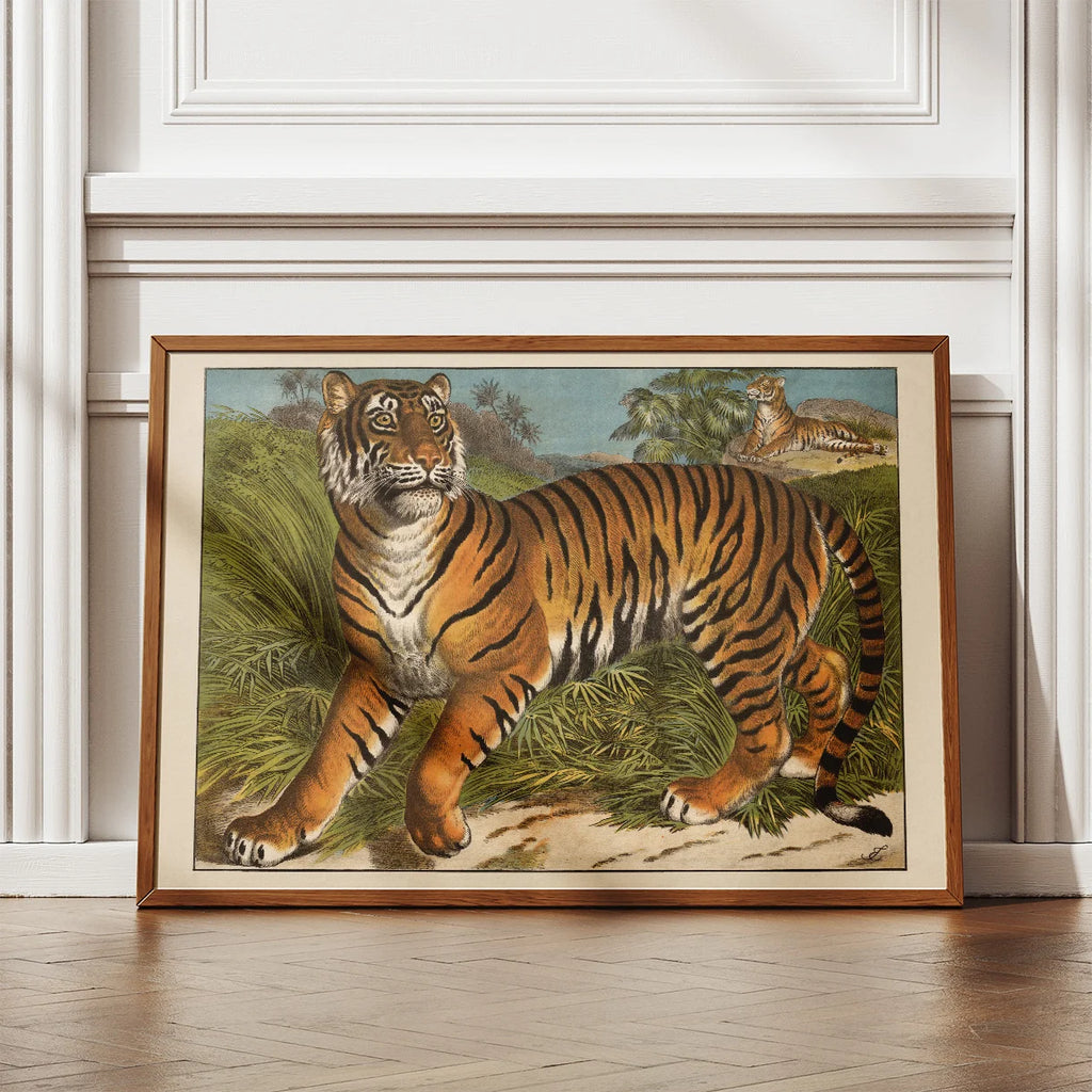 Tiger 1905 - Anskuelsesbillede – billede 2