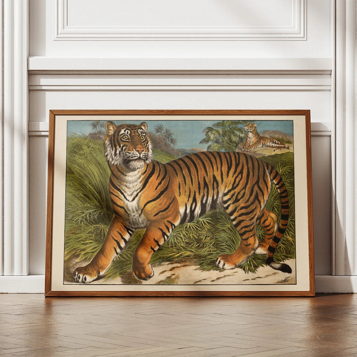 Tiger 1905 - Anskuelsesbillede – billede 2